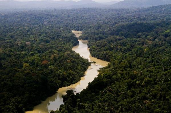 SEMANA DO MEIO AMBIENTE