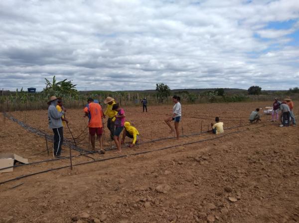 CEFAS realiza montagem de sistema de irrigação na comunidade quilombola Angiacal Colônia do Piauí 