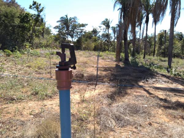CEFAS instala sistema de irrigação na Fazenda Bom Jesus do Passos 
