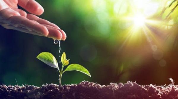 Com o Tema: Meio Ambiente Nossa Casa Comum, o CEFAS e Parceiros realizarão Seminário Sobre o Meio Ambiente!