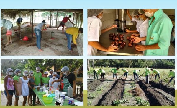 Escolas técnicas rurais transformam vidas no Piauí