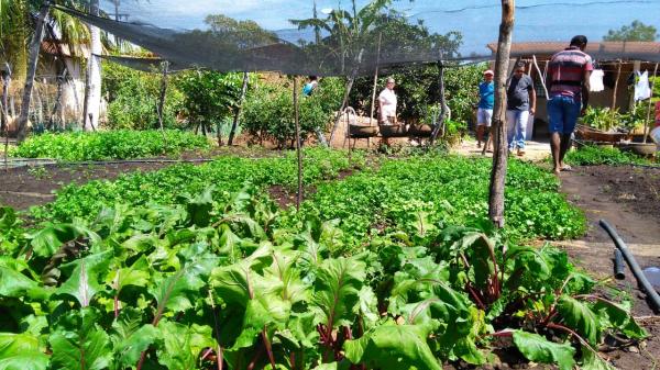 CEFAS REALIZA ASSESSORIA TÉCNICA NA COMUNIDADE BARREIROS MUNICÍPIO DE COLÔNIA DO PIAUÍ.