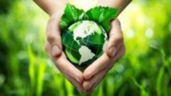 Em setembro, Papa pede oração e respeito ao meio ambiente: não ao saque, sim à partilha