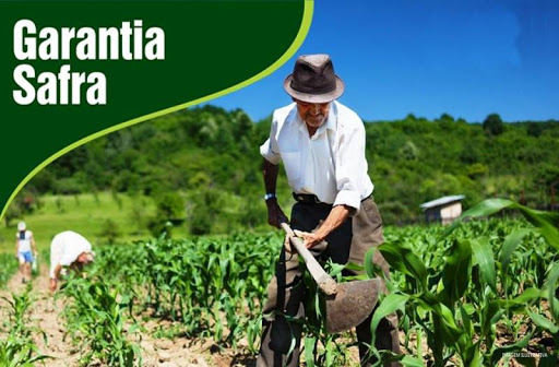 Agricultores familiares inscritos no Programa Garantia Safra já podem receber seus boletos