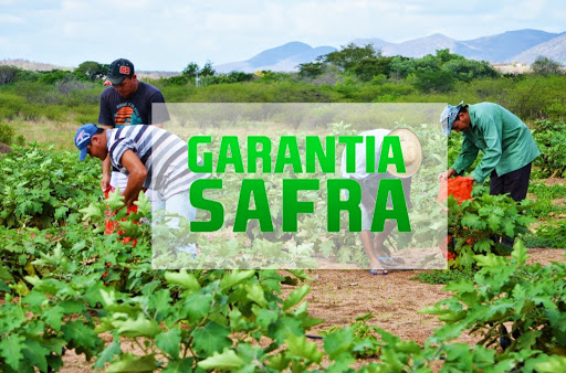 Oeiras e Mais 17 Cidades do Piauí Começam a Receber Seguro Garantia-Safra 2019/2020 em Fevereiro