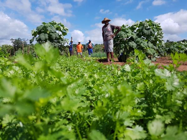 COMUNIDADE QUILOMBOLA CANADÁ CORRENTE GANHA CHAMADA PÚBLICA PARA FORNECIMENTO DE ALIMENTAÇÃO ESCOLAR NO IFPI/CAMPUS – OEIRAS VIA PNAE!