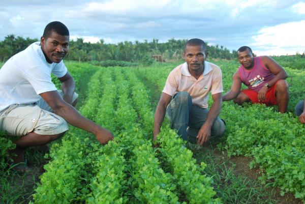 Projeto de lei propõe selo e destaque para produtos de agricultura familiar