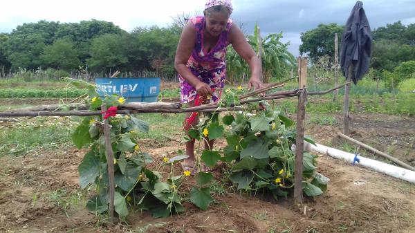 A COMUNIDADE ANGICAL  COLÔNIA DO PIAUI PARTICIPA DE MONITORAMENTO DE ATIVIDADE REALIZADO PELO CEFAS