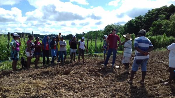 CEFAS REALIZA MONITORAMENTO DE ATIVIDADES E ORIENTAÇÕES PARA O PLANTIO  DO MARACUJÁ  EM COMUNIDADES DO MUNICÍPIO DE COLONIA DO PIAUI!